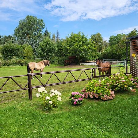 Poggenhagen Urlaub Mitten In Der Natur Neustadt am Rübenberge Extérieur photo