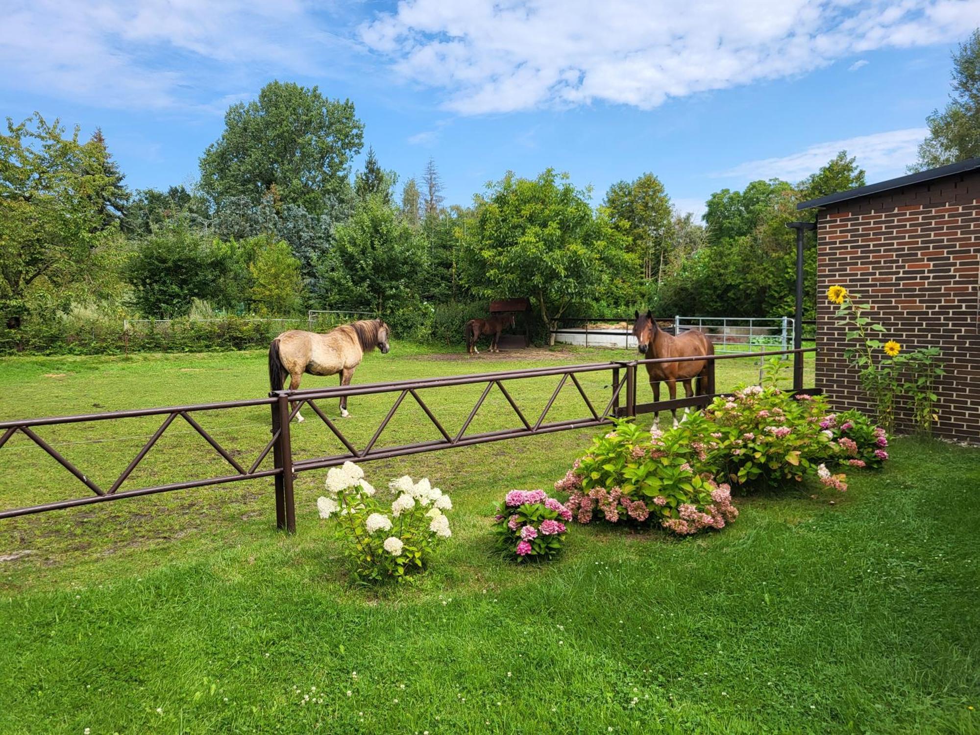 Poggenhagen Urlaub Mitten In Der Natur Neustadt am Rübenberge Extérieur photo